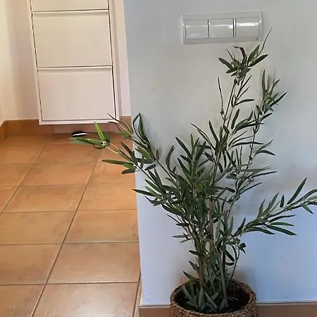 Schoene Unterkunft Mit Pool Und Terrasse. Dénia Exterior foto